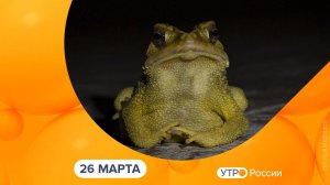 Утро России. Калуга (26.03.2025)