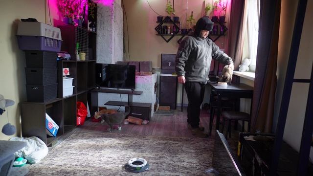 купил не те яблоки для соковыжималки ДЕНЬ В СИБИРИ