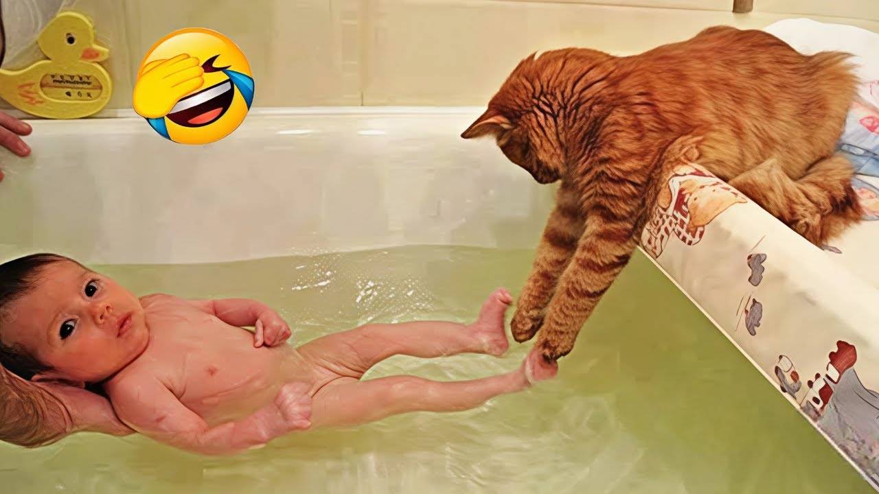 Приколы с животными Смешные видео про животных СМЕШНОЕ ВИДЕО Наши любимые смешные животные