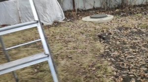 Обработку сада сделали,  обрезка деревьев продолжается.