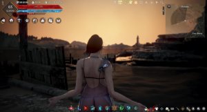 Black Desert 18+