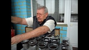 О посеве баклажанов