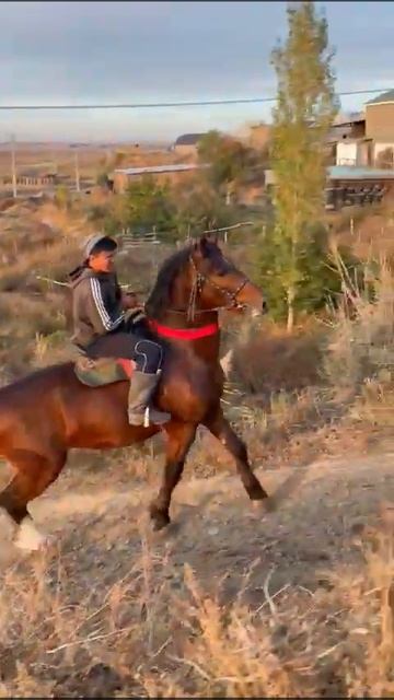 1 февраля 2023 г. смотреть онлайн