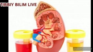 PESHOB BILAN DAVOLASH.Пешоб билан даволаш.