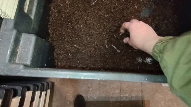ящики для червя Дендробена уплотнение