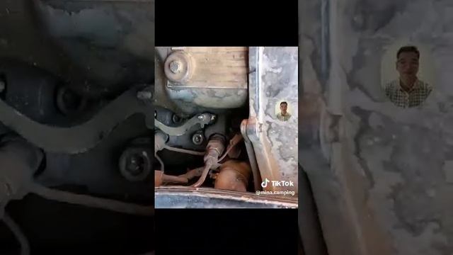 VID-20250326-WA0206
