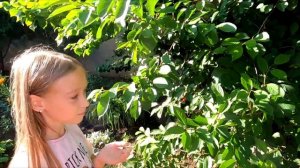 ТИПЫ ПЕРВОКЛАШЕК vs СТАРШЕКЛАШЕК на летних каникулах