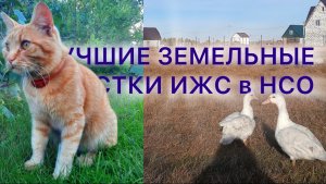 Лучшие земельные участки ИЖС в НСО https://clck.ru/3FE57B
