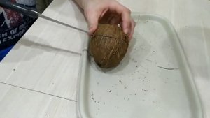 Как разбить кокос очень просто!!!