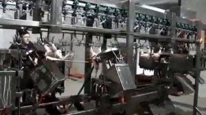 Линия автоматической разделки тушек птицы на части ООО Мидан