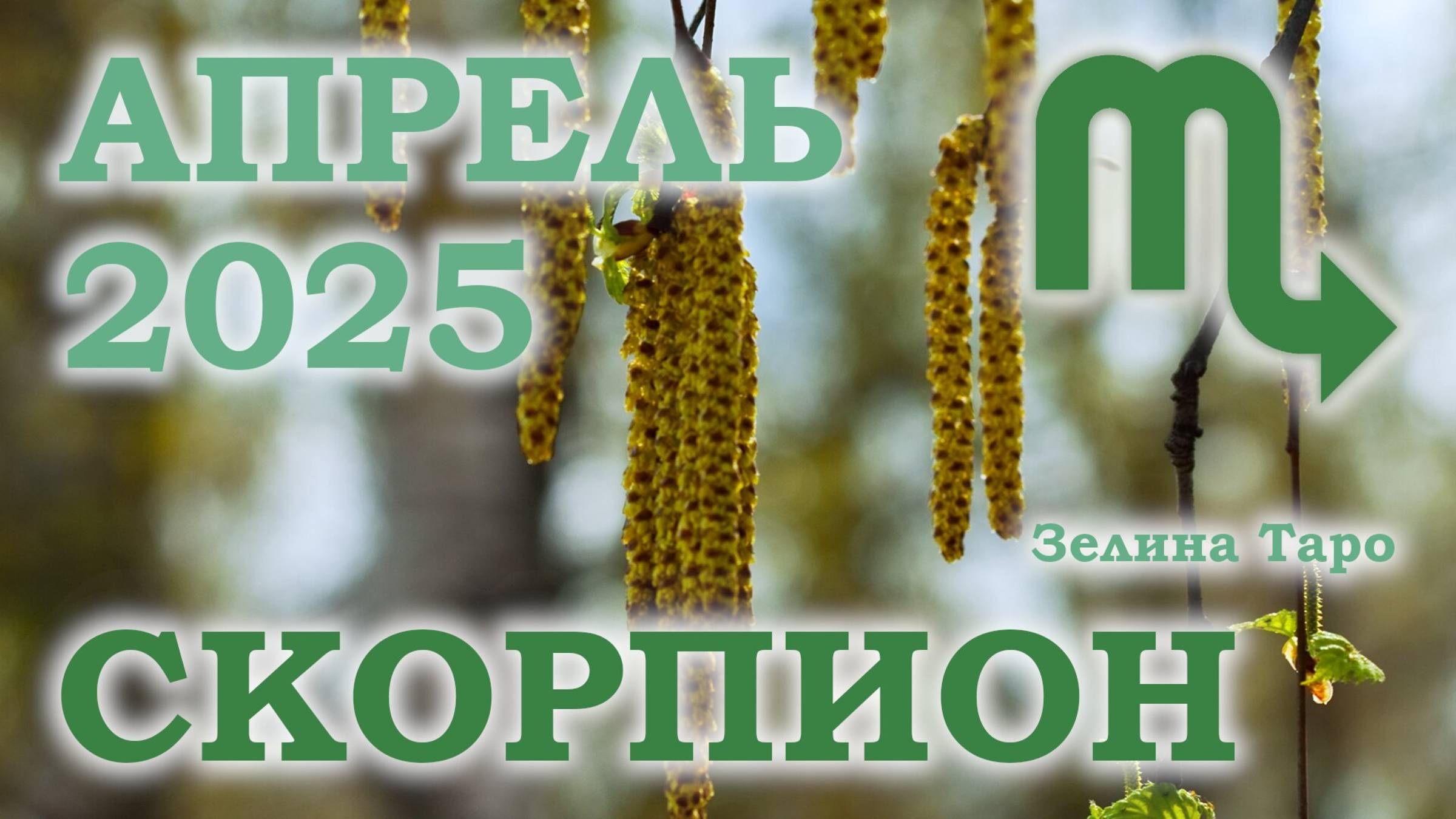 СКОРПИОН | ТАРО прогноз на АПРЕЛЬ 2025 года | Желание | Расклад таро | Таро онлайн