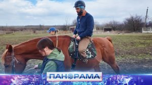 ⚡️ Иппотерапия для героев СВО в Харцызске: как контакт с лошадьми помогает военнослужащим?