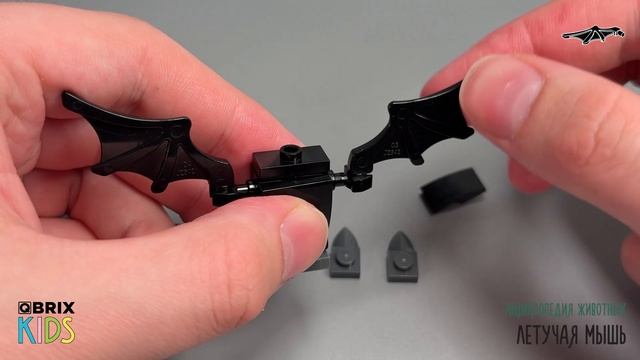 Собираем летучую мышь из конструктора QBRIX KIDS - детские конструкторы с видеоинструкцией смотреть онлайн