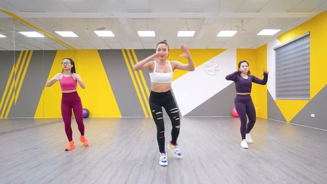 088 20.33 Inc Dance Fit