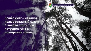 С начала этого года потушили уже 6 возгораний травы