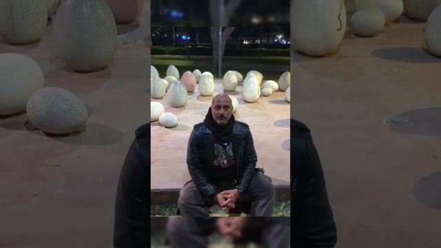Сенсация! Найдены яйца диплодоков (вертикальный формат для просмотра на телефоне)