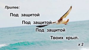 16.03.2025 Программа