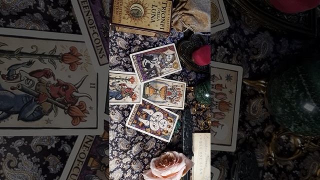 Почему заболел мейн-кун сестры? Обучение таро Безумной Луны Триумфы 🌙 Луны