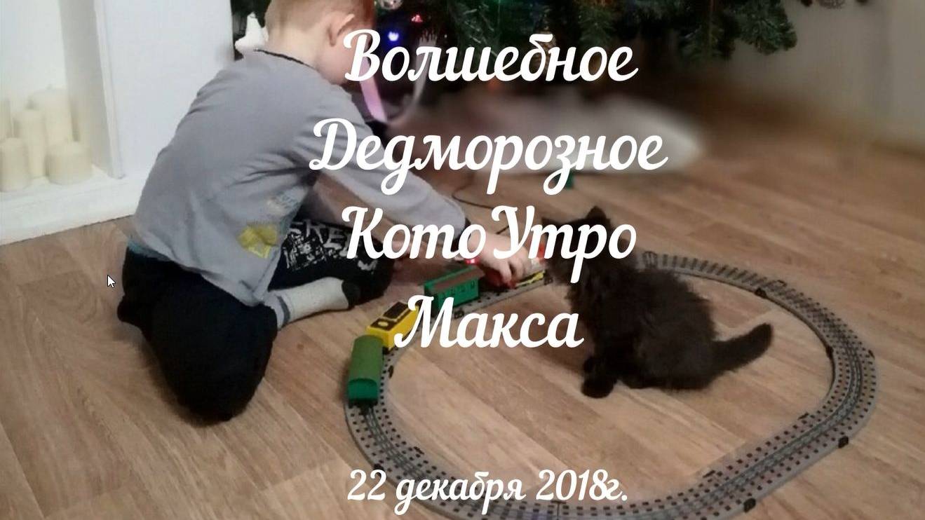 Дед мороз подарил НАСТОЯЩЕГО КОТА Максу. 22.12.2018