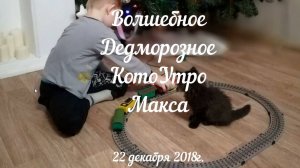 Дед мороз подарил НАСТОЯЩЕГО КОТА Максу. 22.12.2018