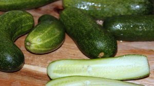 Пикантная закуска из молодых огурцов