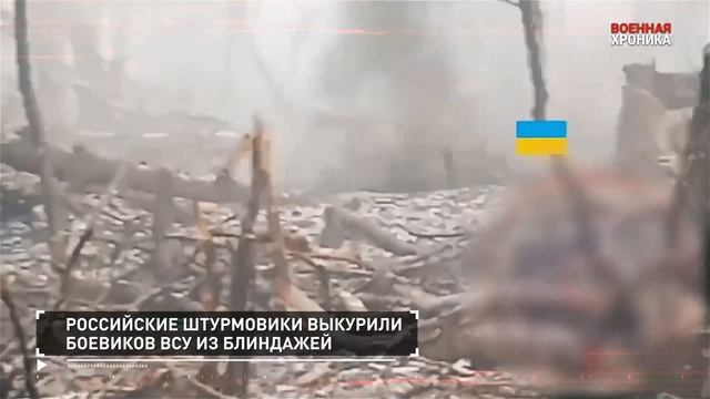 СПЕЦОПЕРАЦИЯ Z  25 марта  2025 Собрали главные видео дня#россия#донбасс#спецоперация#всу#зсу