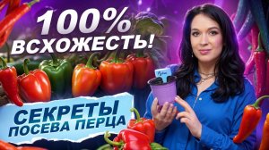359. КАК ПОСЕЯТЬ ПЕРЕЦ НА РАССАДУ В МАРТЕ СЕКРЕТЫ ВСХОДОВ ОТ  МИСС ФРЕНИ и  СЕМКО