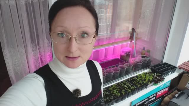Видео привет с подоконника перед отъездом на огород в конце марта 2025 года.