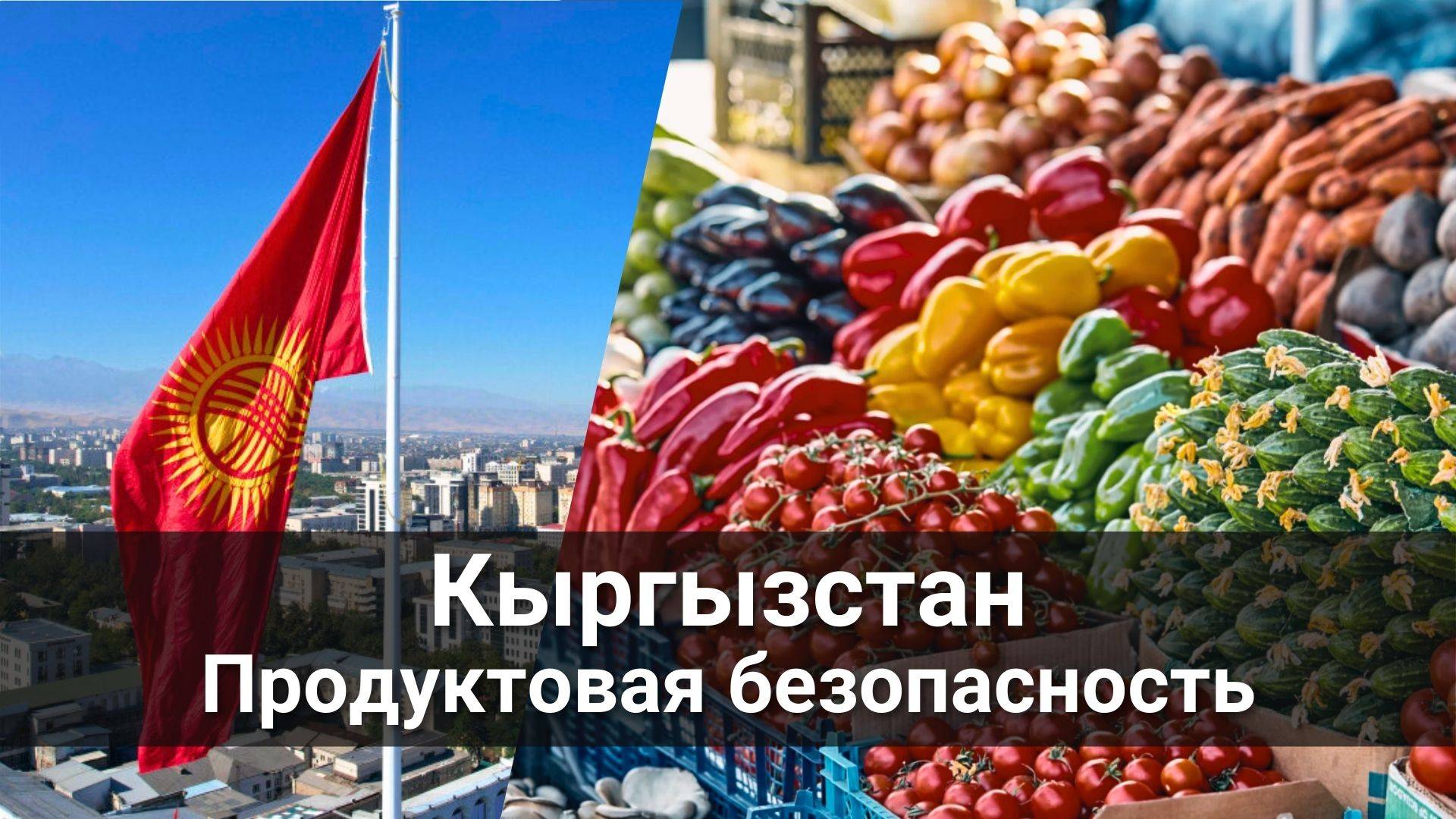 Кыргызстан продовольственная безопасность