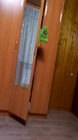 Хаги ваги в гостях