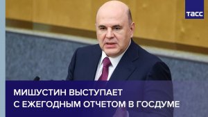 Мишустин выступает с ежегодным отчетом в Госдуме