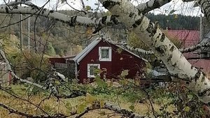 Покупка и ремонт дома . Покрываю пол маслом . 21 часть