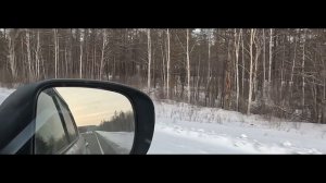 Новый год начался не с кофе!