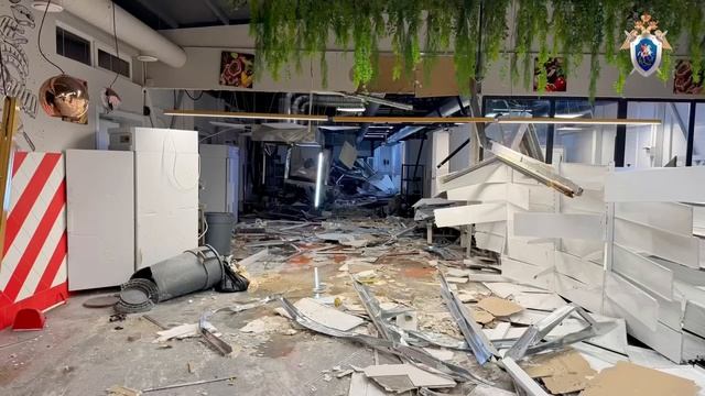 В Сочи следователи расследуют убийство, покушение на убийство и разгром магазина в поселке Дагомыс