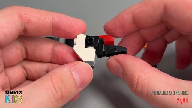 Собираем тукана из конструктора QBRIX KIDS - детские конструкторы с видеоинструкцией смотреть онлайн