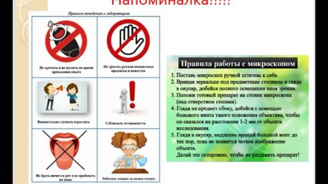 Про бананы