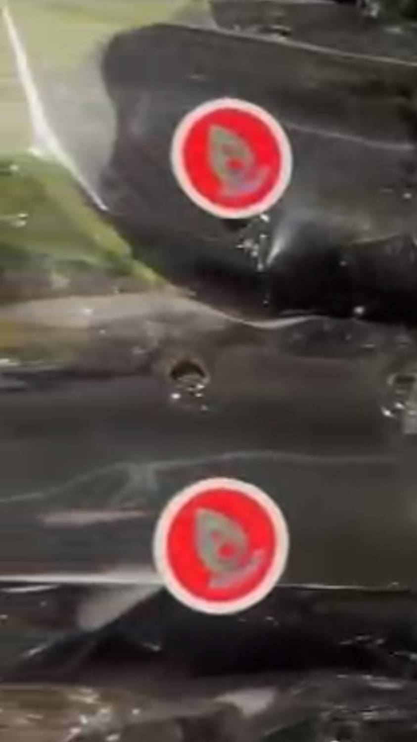 Баклажаны оптом из Ирана.