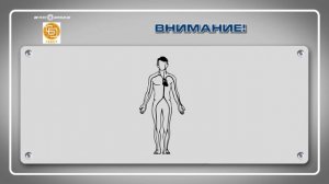 2 Оказание первой помощи пострадавшим