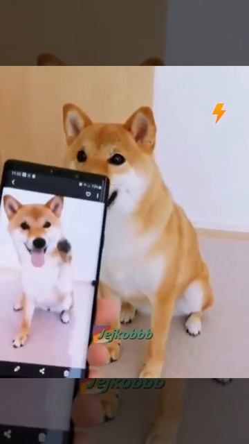 2ch Приколы, Лучшее смотреть онлайн