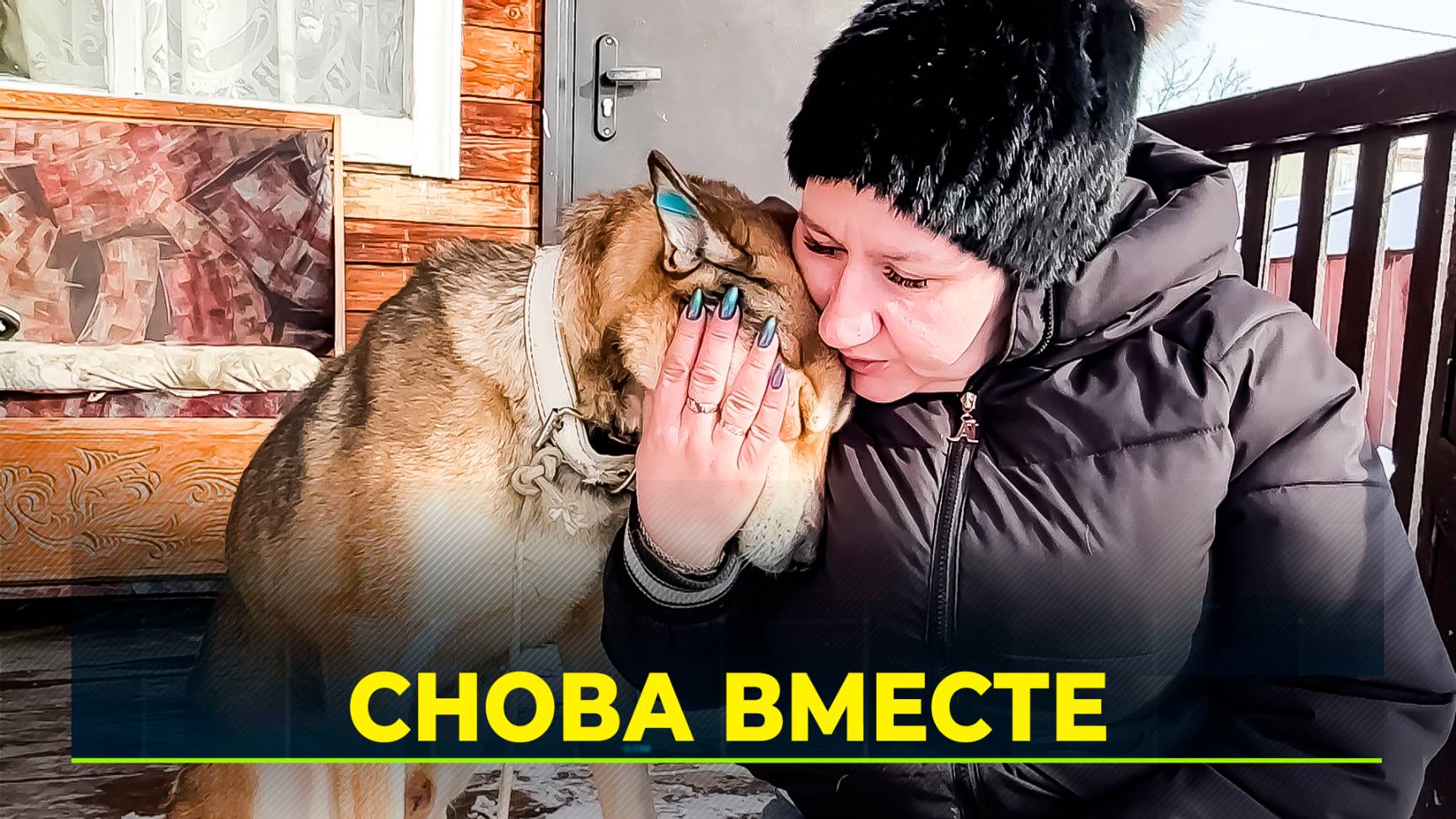 В Салехарде пёс по кличке Граф вернулся в семью через 2,5 года смотреть онлайн