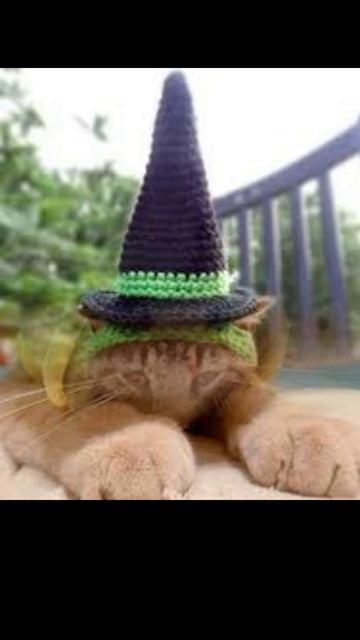 ПРИКОЛЬНЫЕ ШАПКИ ДЛЯ КОТОВ смотреть онлайн