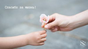 Разбор запросов на тему женского здоровья. Эфир Nº 27.  #психология #психосоматика #женскоездоровье