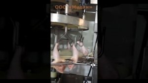 Линия автоматической разделки тушек птицы на части