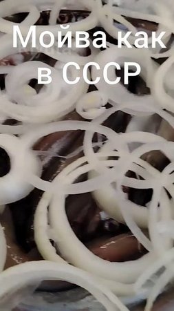 Мойва как вСССР