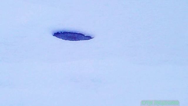На пруду в парке