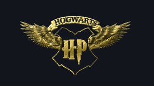День рождения в стиле Гарри Поттер26