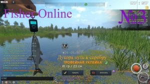 Fisher Online-Дукора путь к серебру уклея