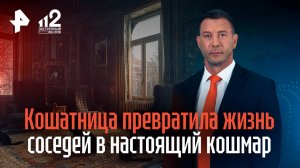 Кошатница превратила жизнь соседей в настоящий кошмар