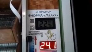Инкубатор Блиц Норма парка с8.