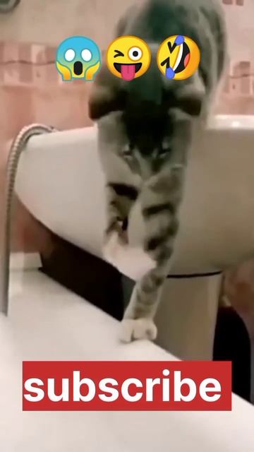 ye kya hai 🤔😱#trendingshorts #youtubeshorts #shortsfeed #shorts смотреть онлайн